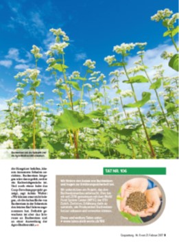 coop article on buckwheat