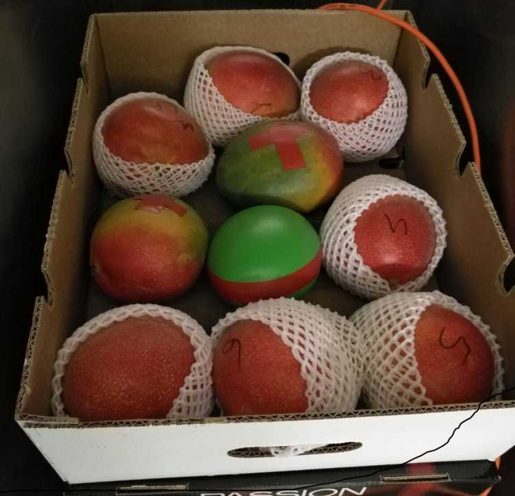 Sensor in Box of Mangos