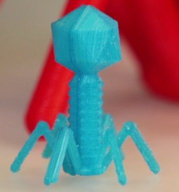 bacteriophage