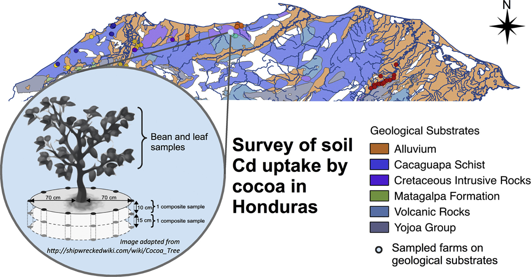 Enlarged view: Soil cadmium uptake by cocoa in Honduras
