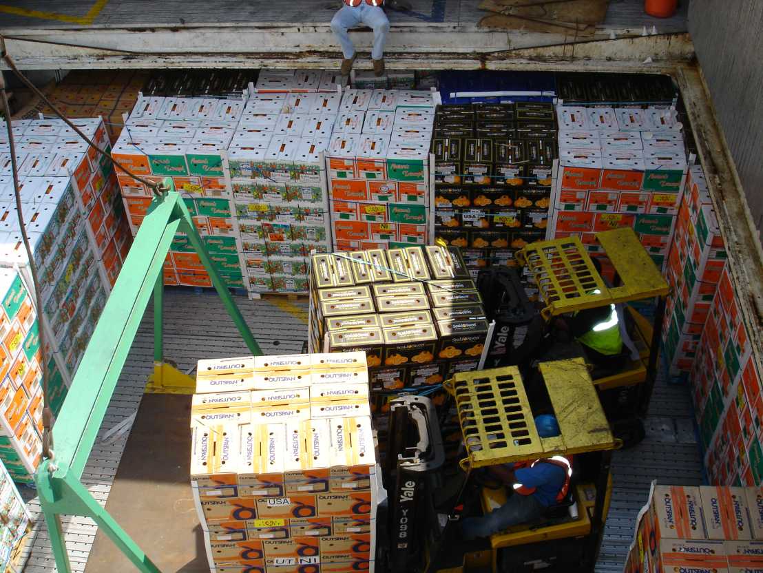 Citrus fruit in transport (Image: WFSC)