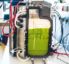 algae reactor
