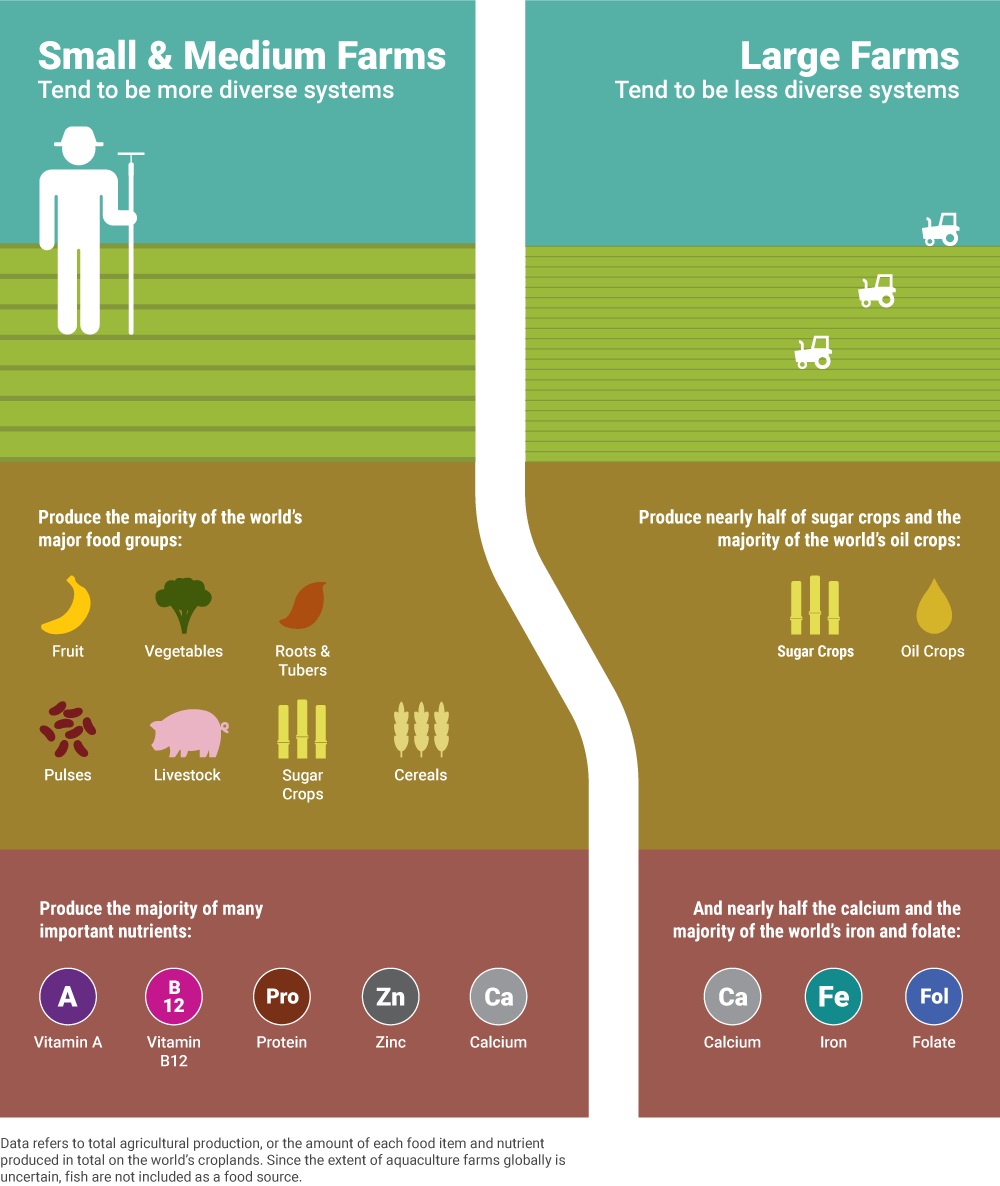 Enlarged view: farm production size graphic