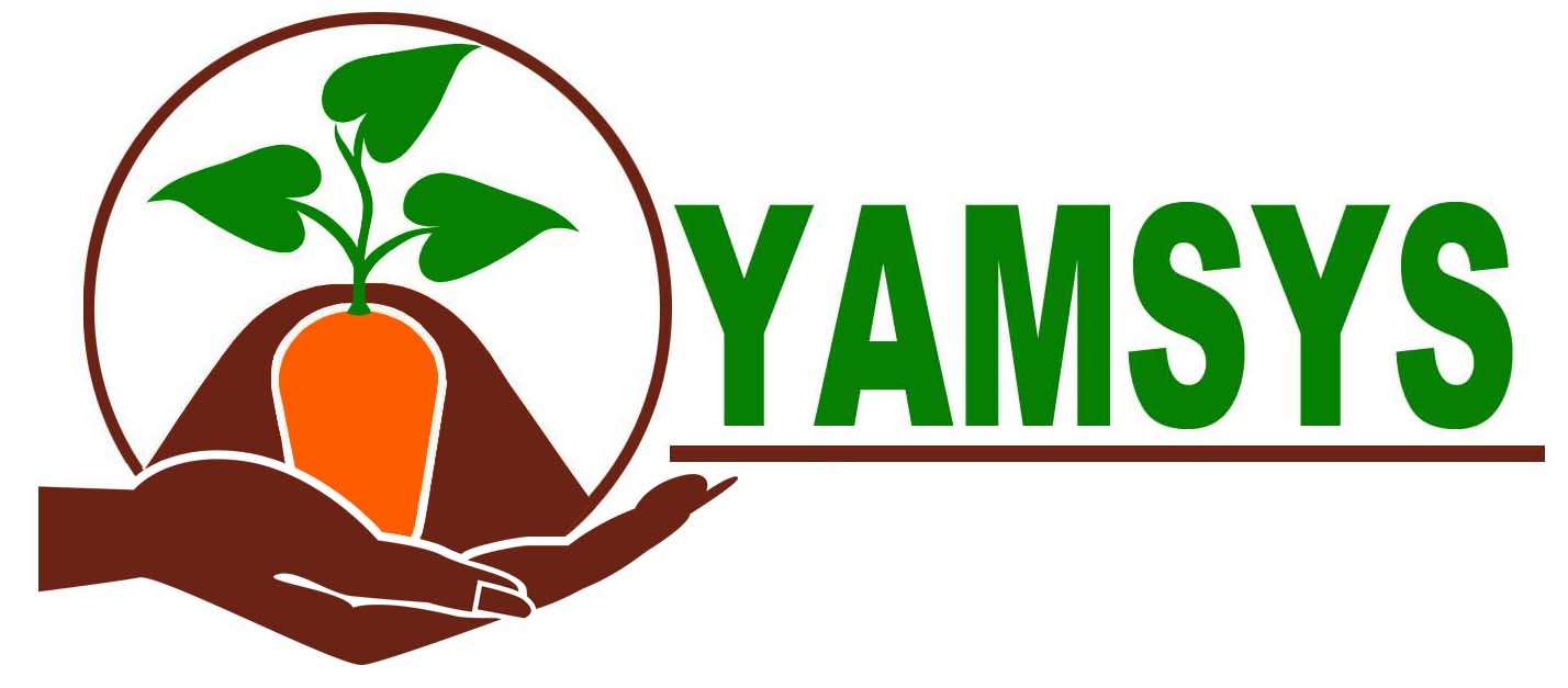 Yamsys Logo