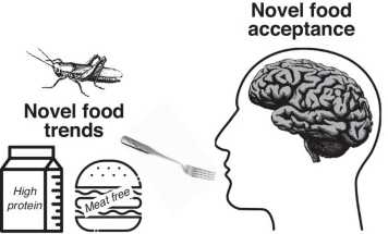 novel food acceptance