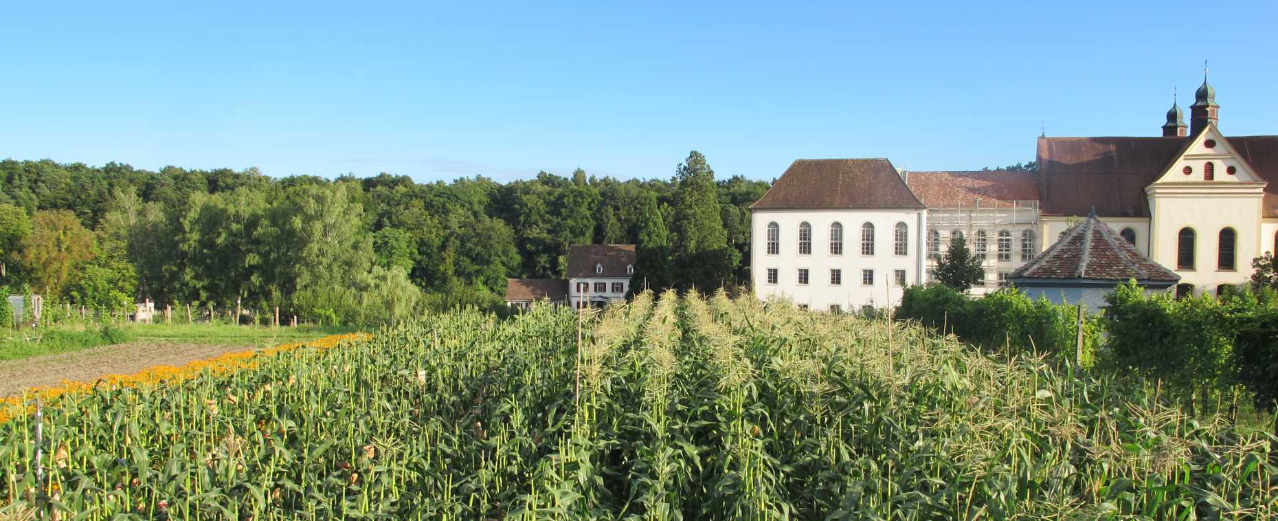 Enlarged view: Gut Rheinau farm